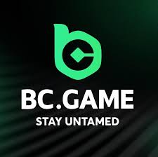 Exploring the BC.Game Platform Hub A Comprehensive Guide