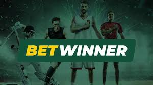 BetWinner Online Casino Your Ultimate Gaming Destination