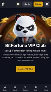 Bitfortune Casino Compared with Other Online Casinos -1181160574