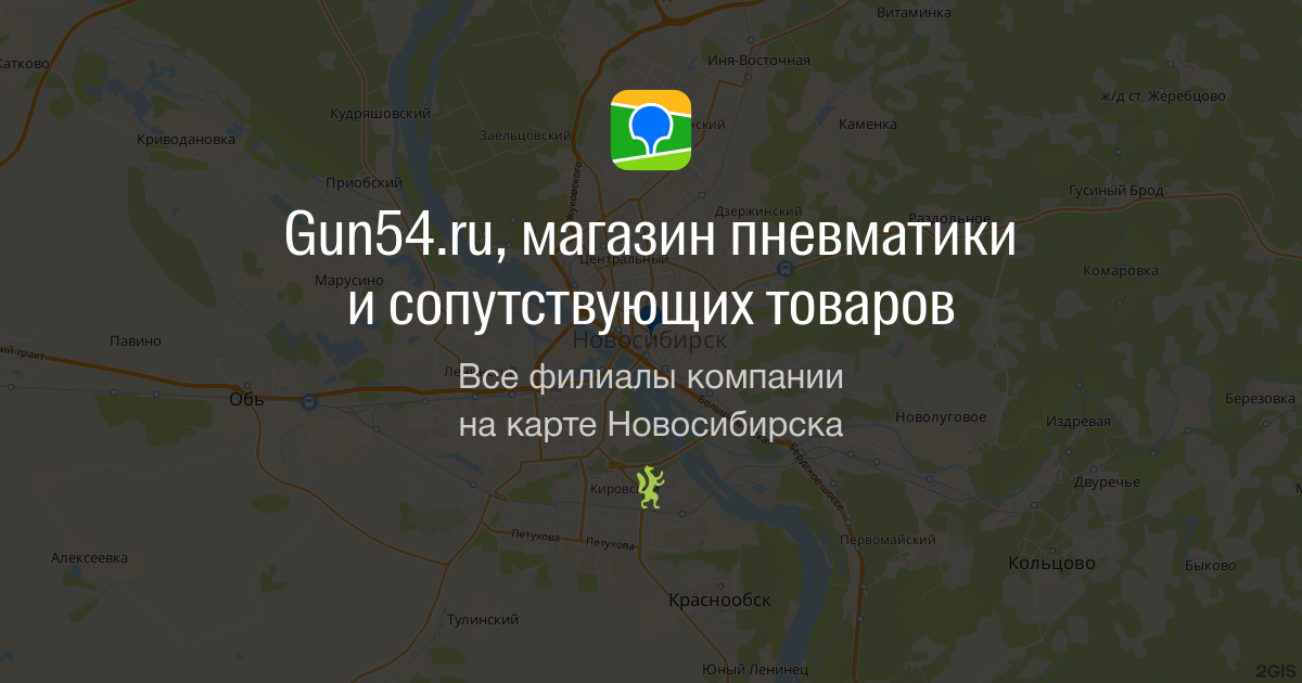 Пневматическая винтовка Особенности, Использование и Советы по Выбору