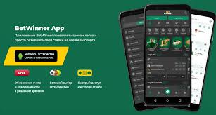 The Ultimate Guide to BetWinner Login Process