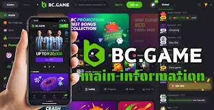 Understanding the BC.Game Login Process A Comprehensive Guide 692833770