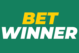 Unveiling the BetWinner Experience A Comprehensive Guide to Sports Betting
