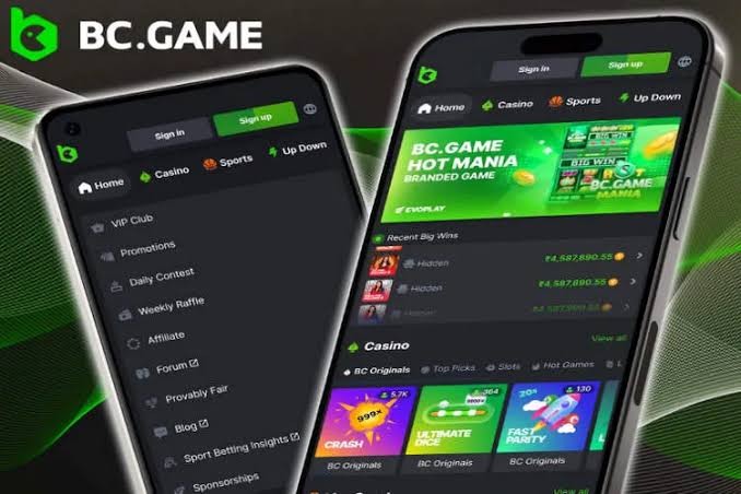 Discover the Thrill of BC.Game Argentina The Ultimate Online Gaming Experience