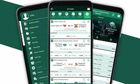 Explore the Thrills of BetWinner Online Casino
