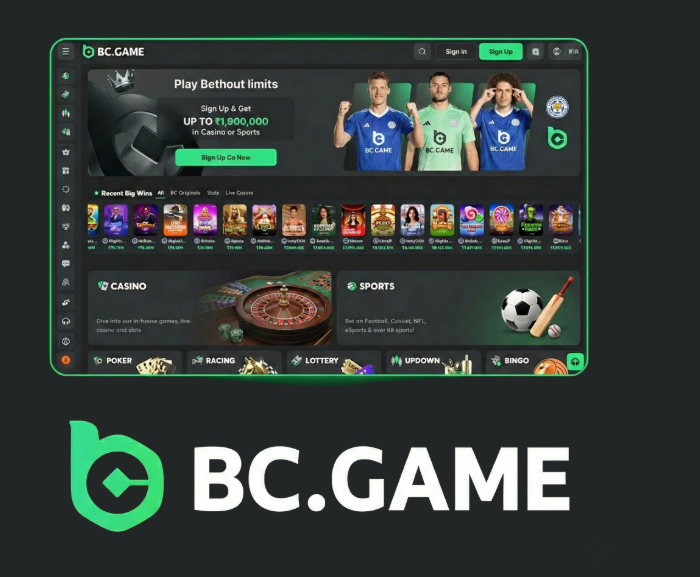 Understanding the BC.CO Login Process for Seamless Access